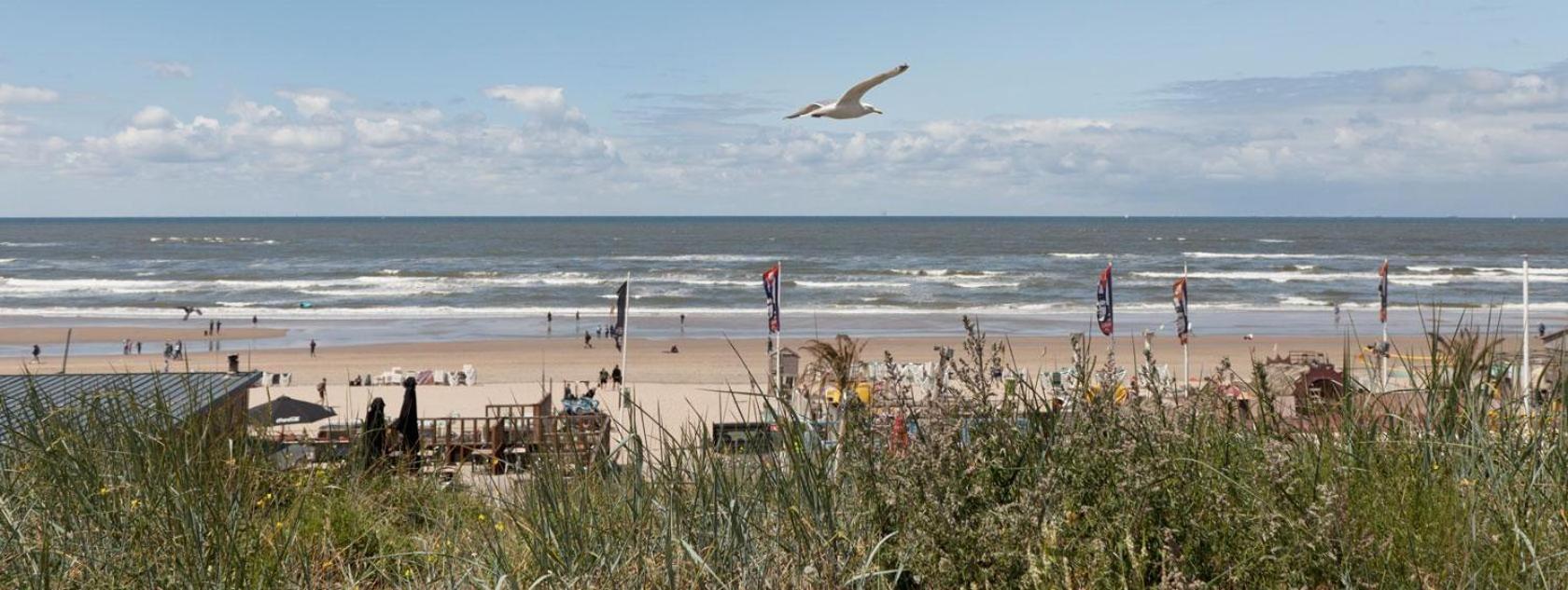 Beach&Dunes Apartment Зандворт Екстер'єр фото